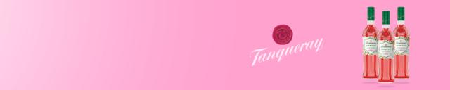 Tanqueray Aperitivo Pink Grapefruit 14,7% Alc. 0,7l 
