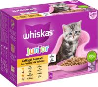 Whiskas Junior Poultry Meals in Jelly 12x85g